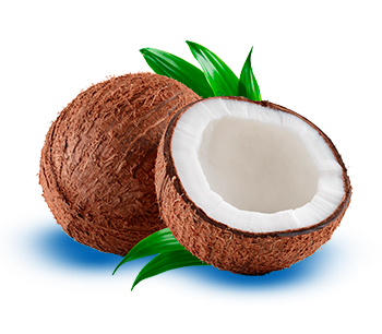 margot-kokos margot-kokos-350.png