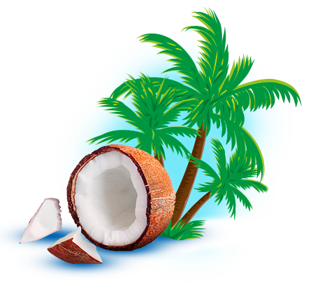 margot-palma margot-kokos-350.png